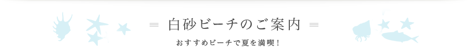 白砂ビーチのご案内