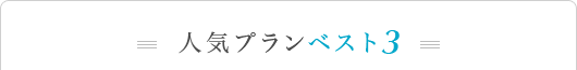 人気プランベスト3